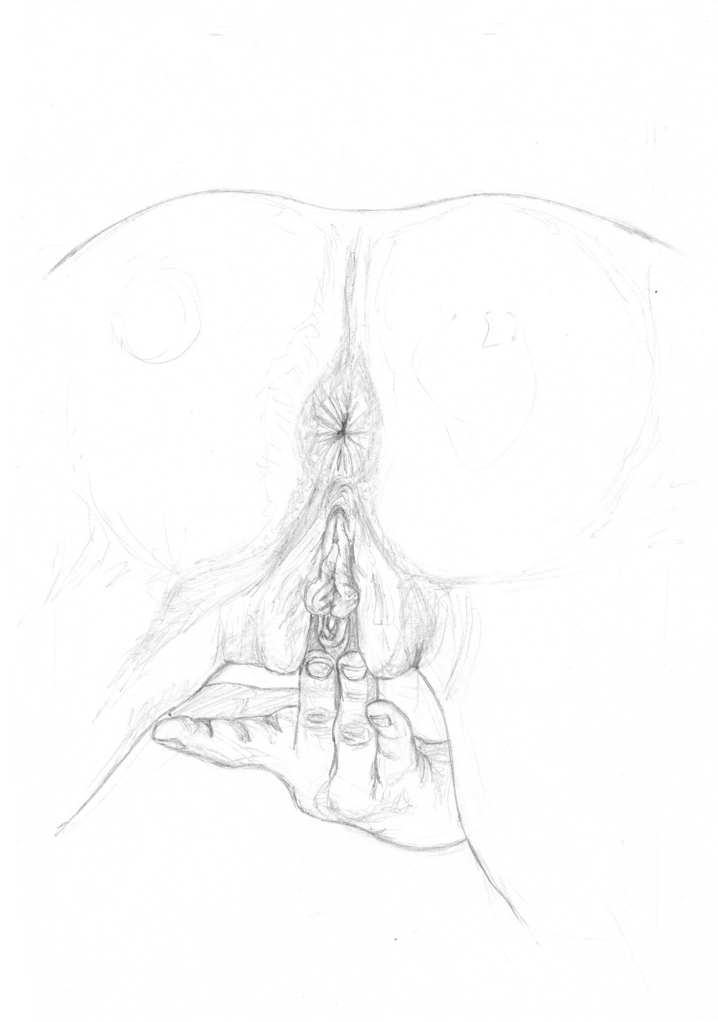 Самые красивые члены мужчин