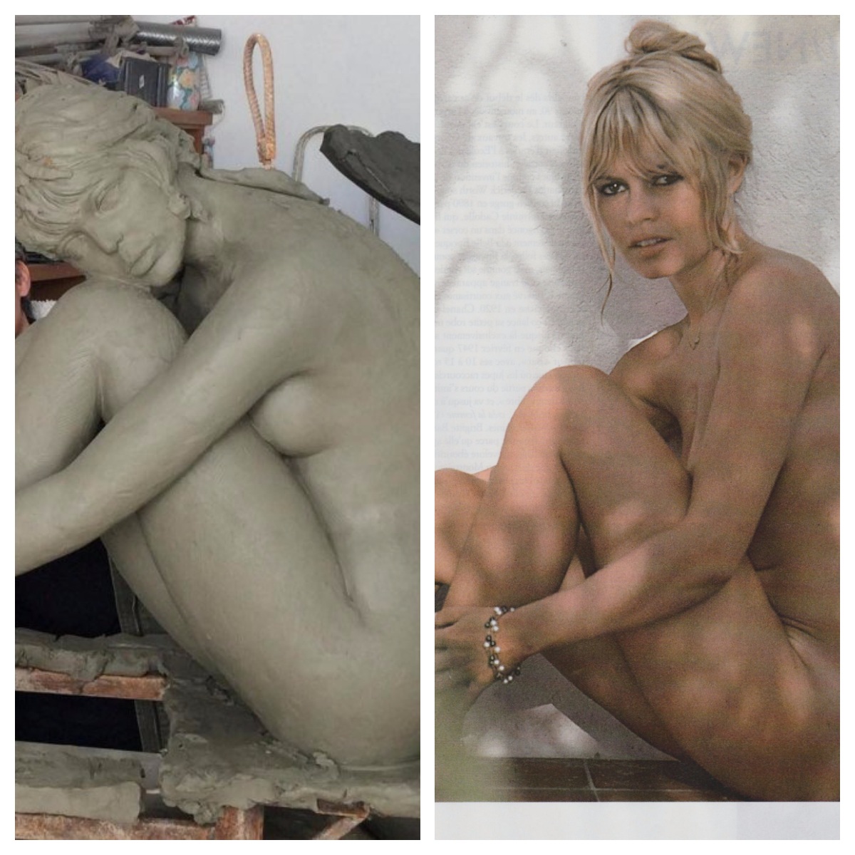 Brigitte macron nude