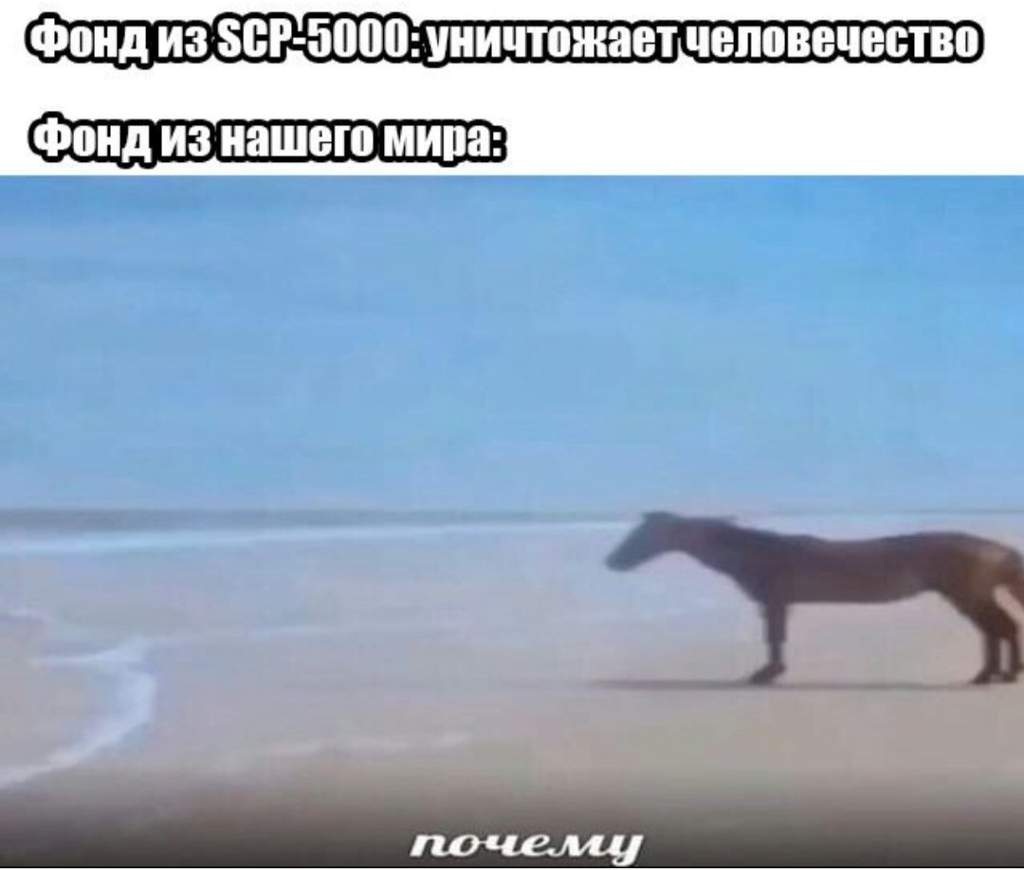 Корова почему Мем