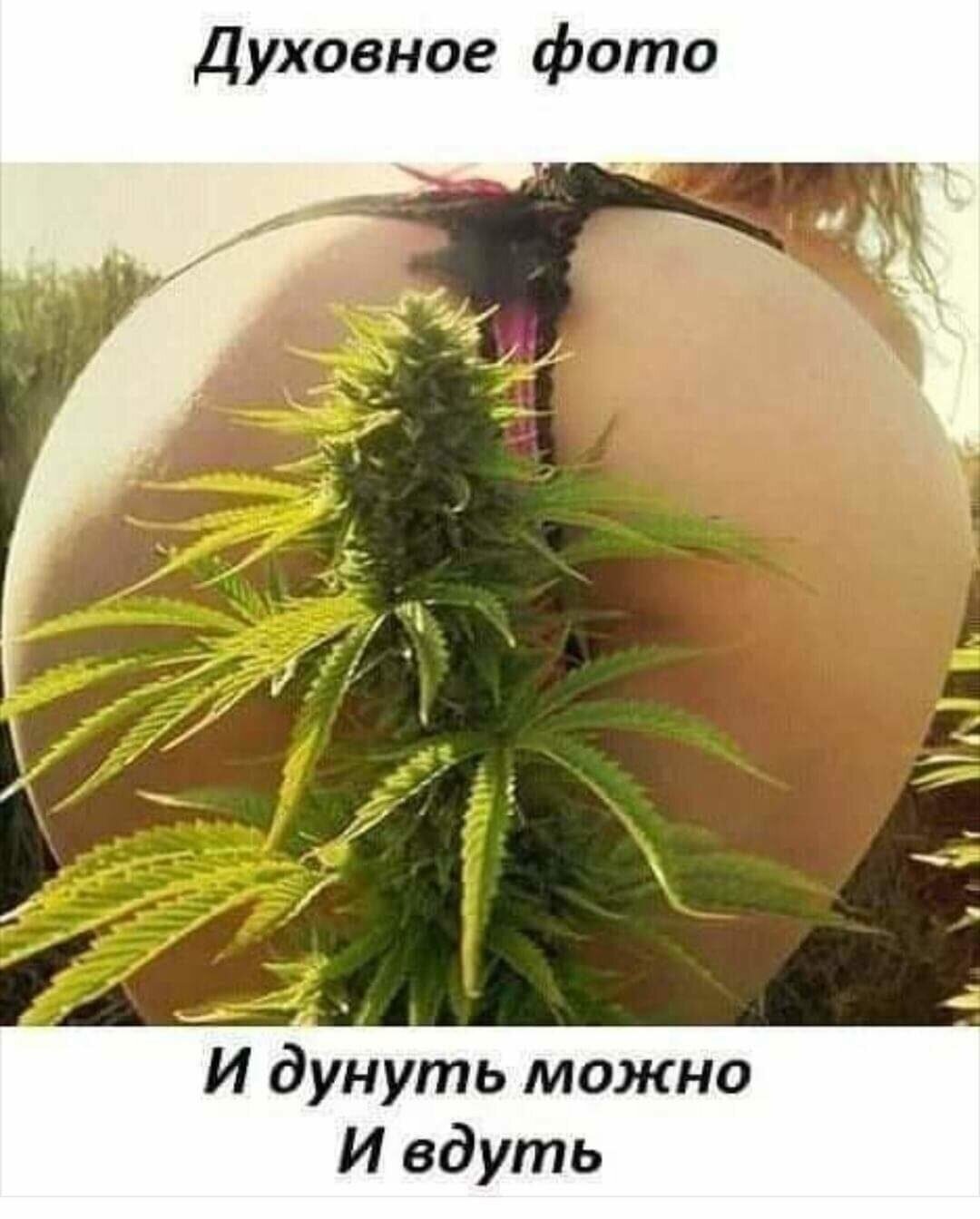 Катя Гусева Максим