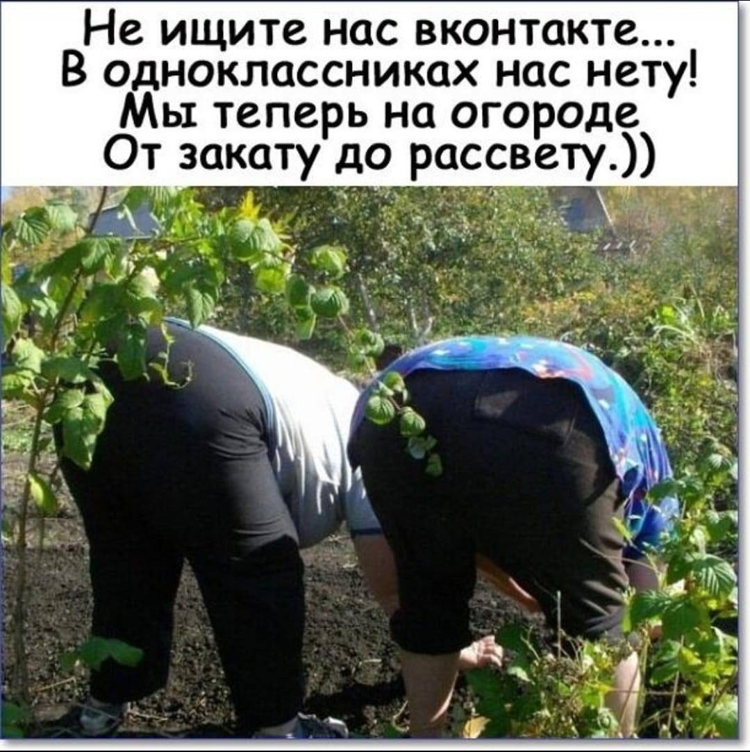 Про огород прикольные