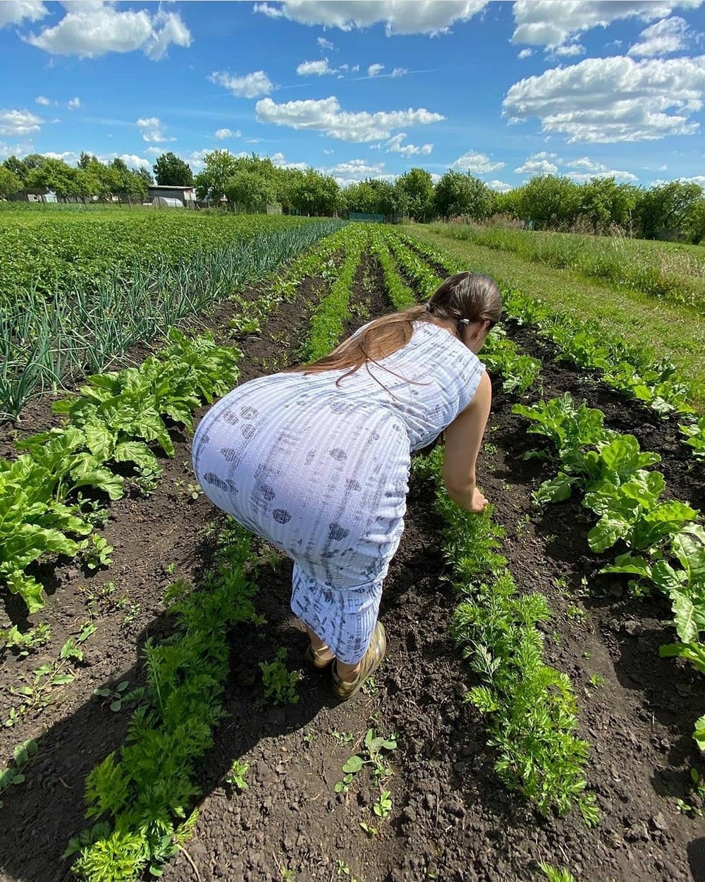 Жена на огороде в халате без трусов (57 фото) - секс и порно заточка63.рф