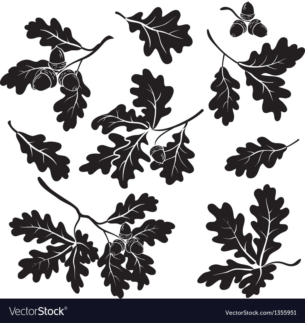 Орнамент листья