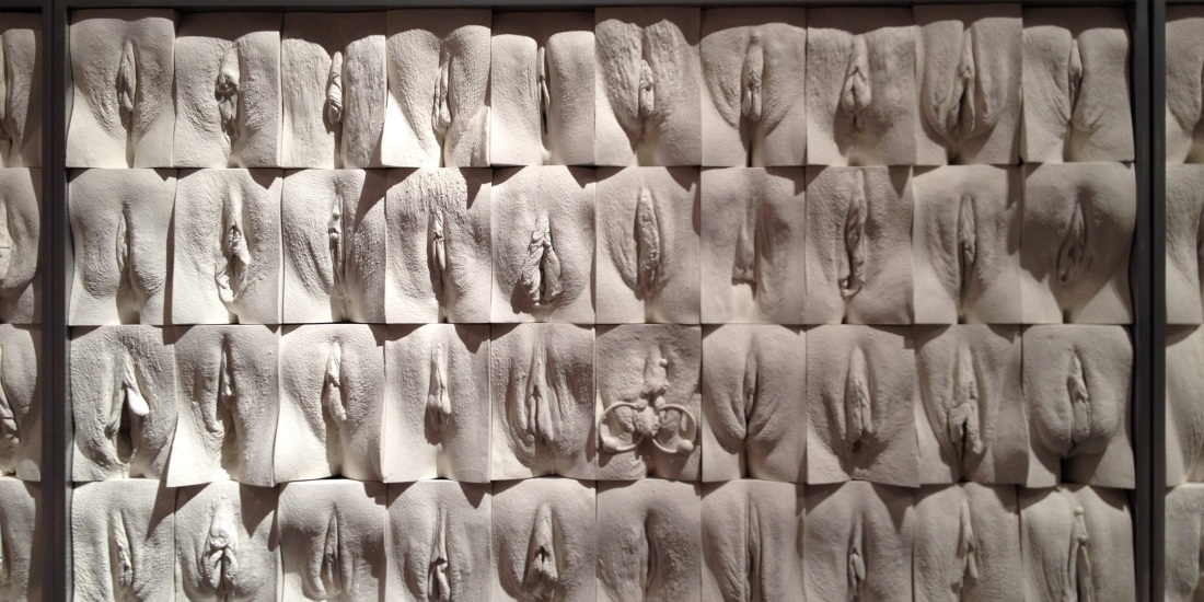 Женские вагины разных рас