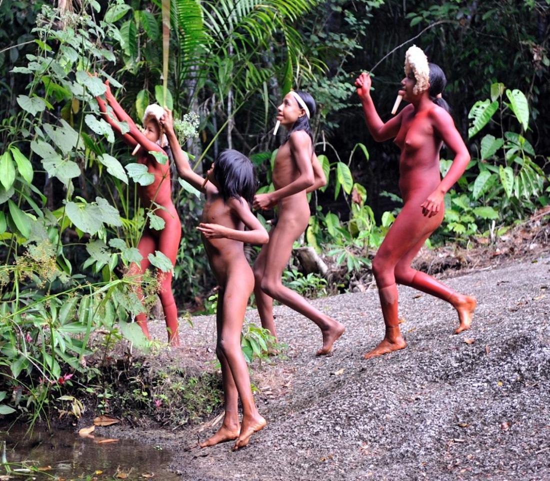Амазонка голые племена порно (64 фото)