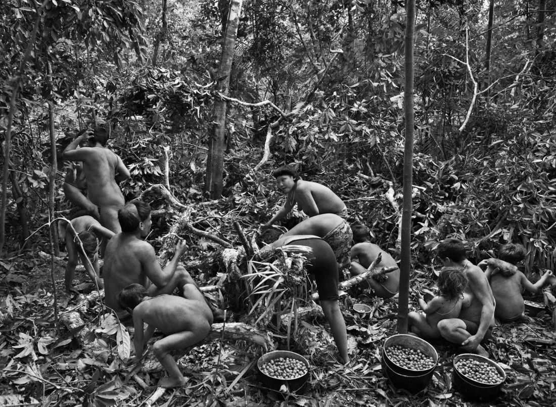 Голые женщины диких племен