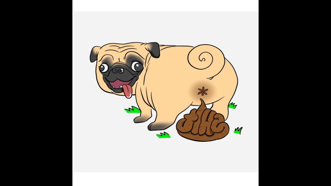 Авокадо прикол