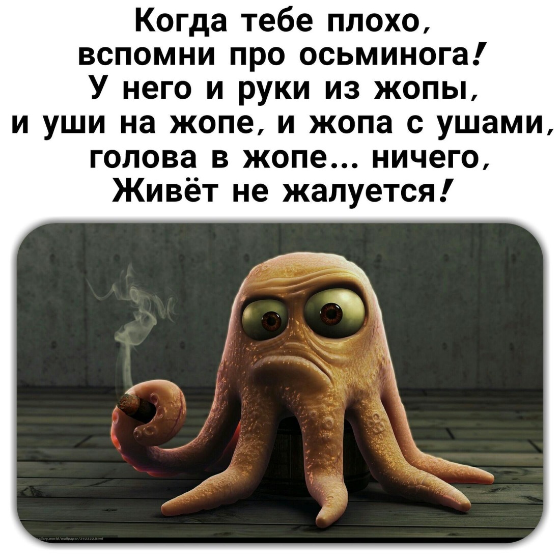 Пепе Лягушонок говноед