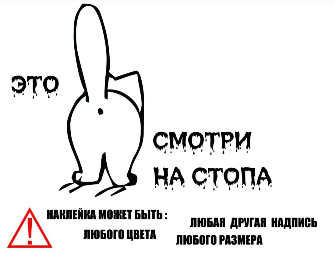 Попа кота рисунок