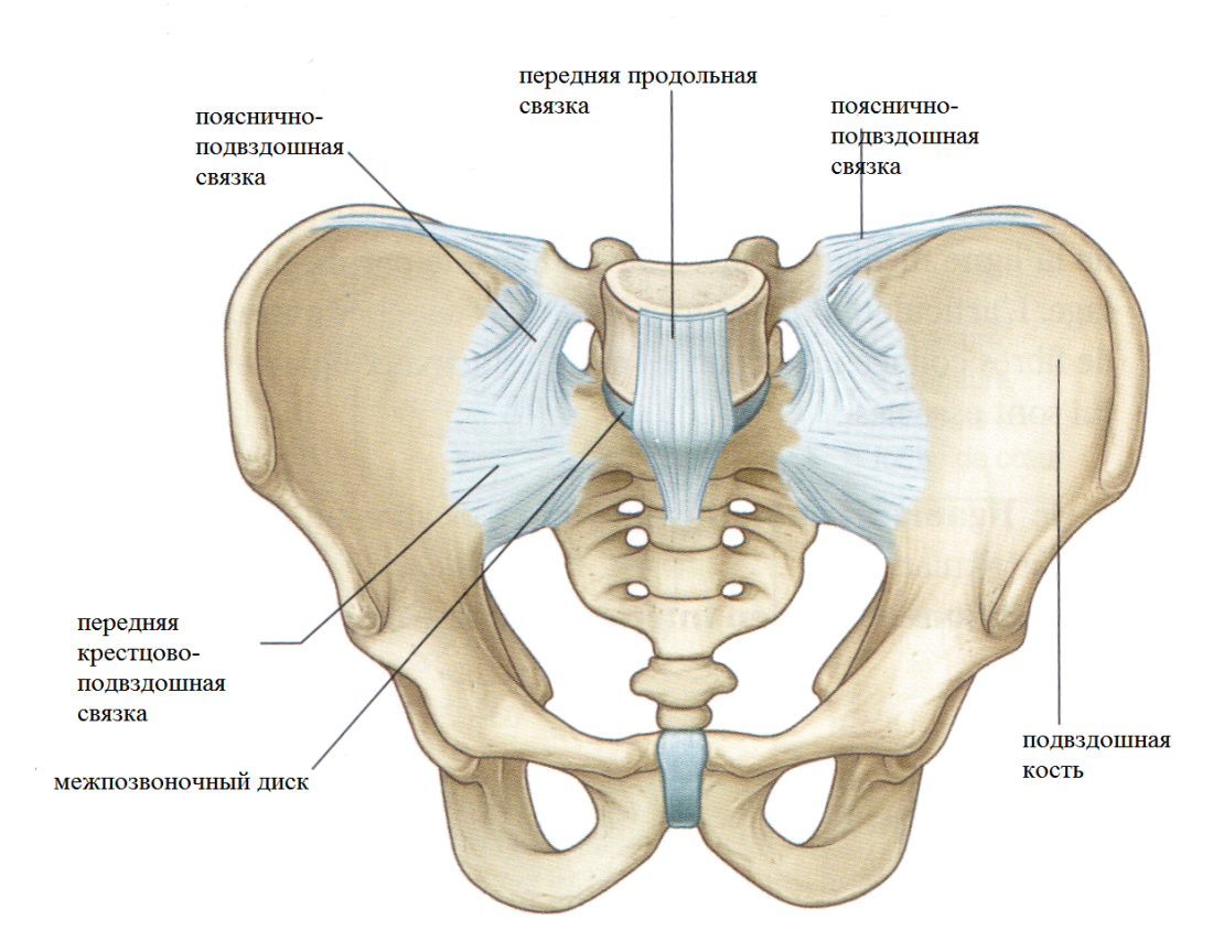 Сидит на коленях референс