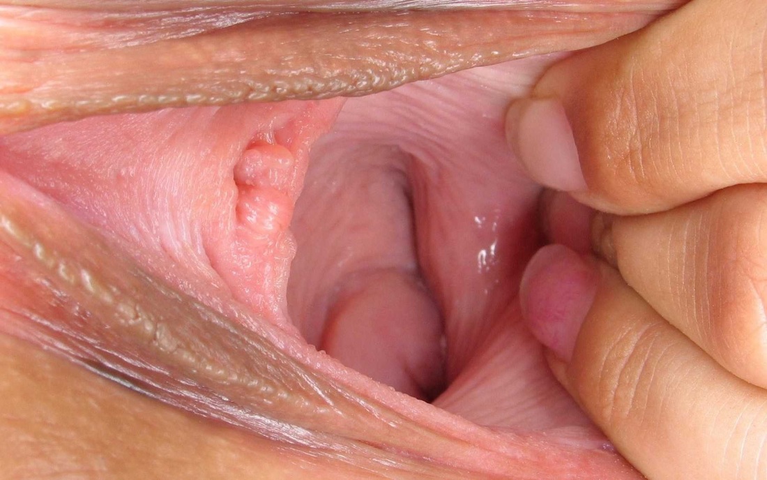 Женские половые органы крупным планом фото вульвы мастурбирует розовую киску сок из пизды