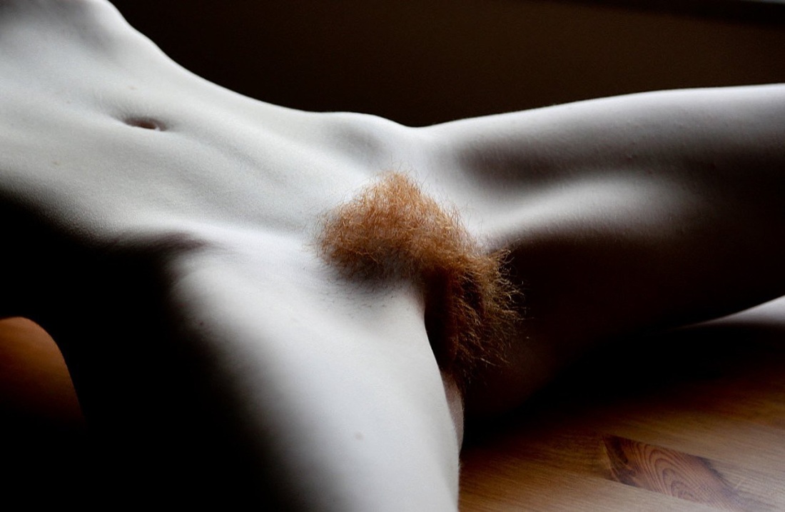 Красивы волосатый лобочек