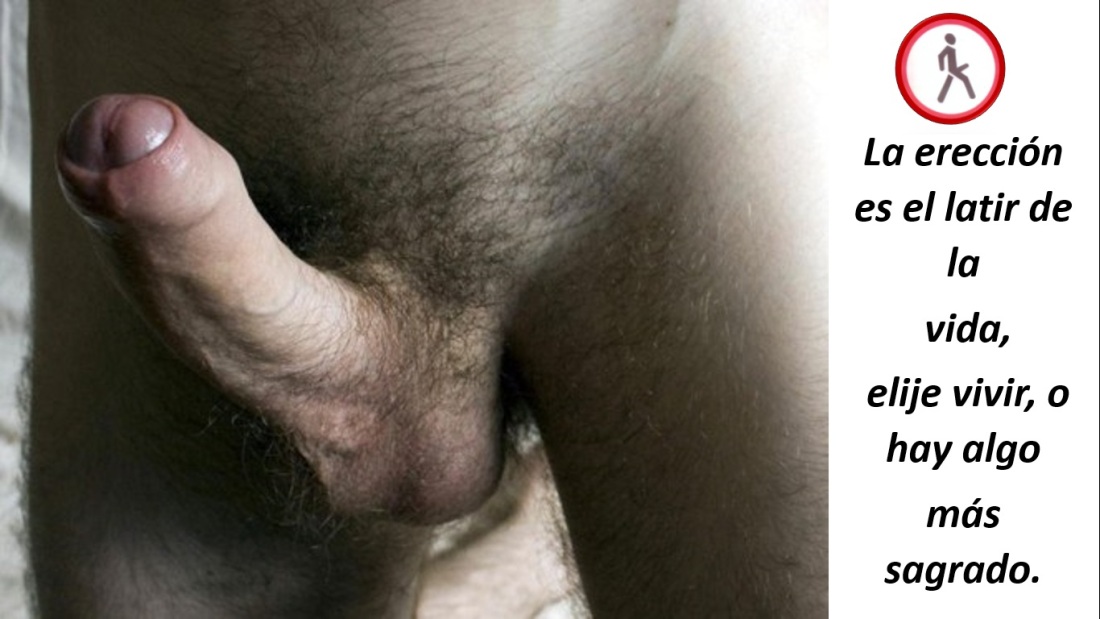 Большие волосатые пенисы