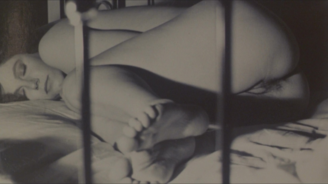 Стефания Сандрелли тинто брасс