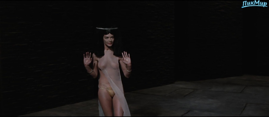 Барбара Брыльска обнаженка