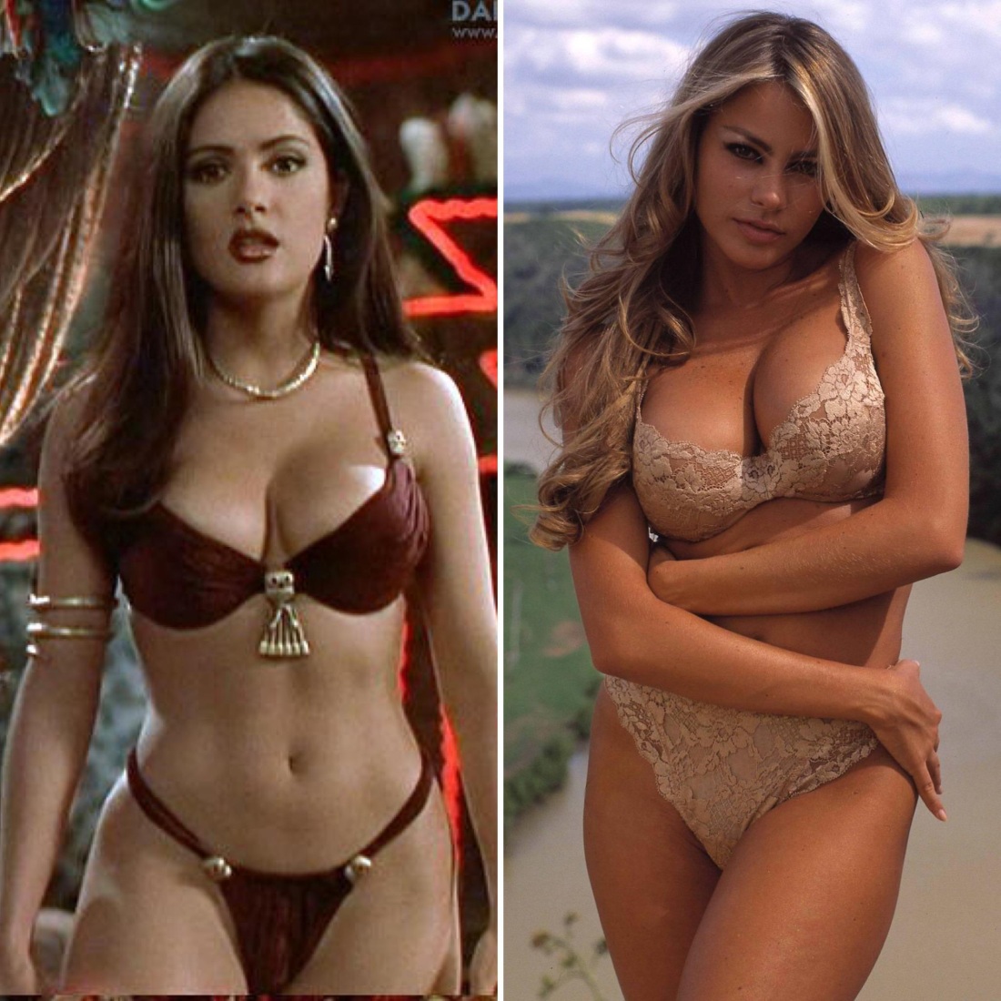 София Вергара украденные