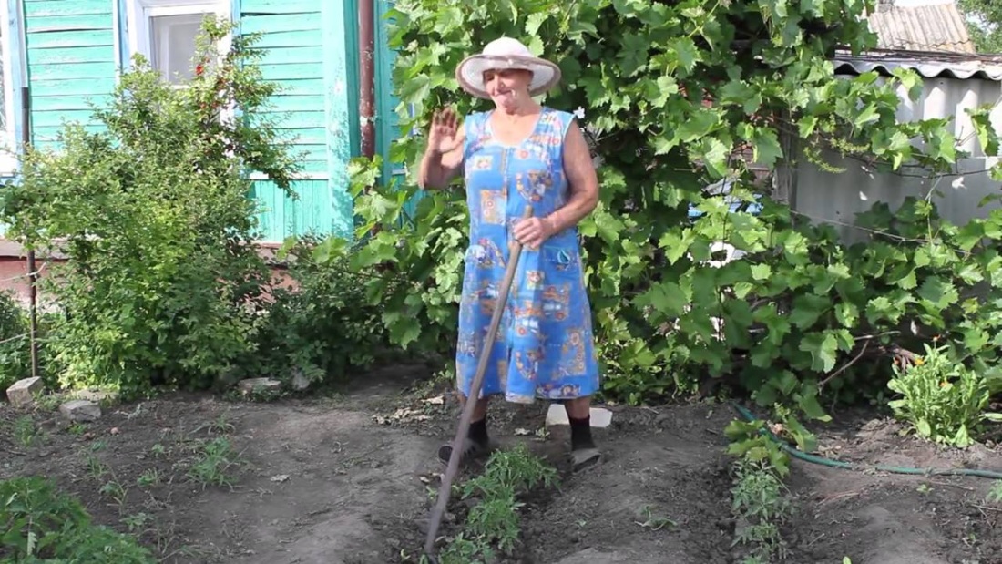 Бабки на грядках