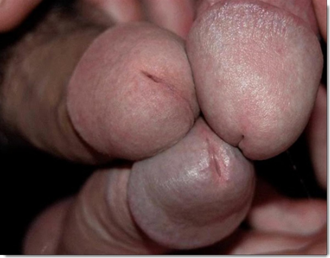 Мужской член крупным планом