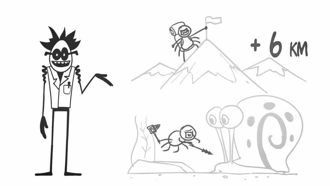 Ксения Роменкова Южные ночи