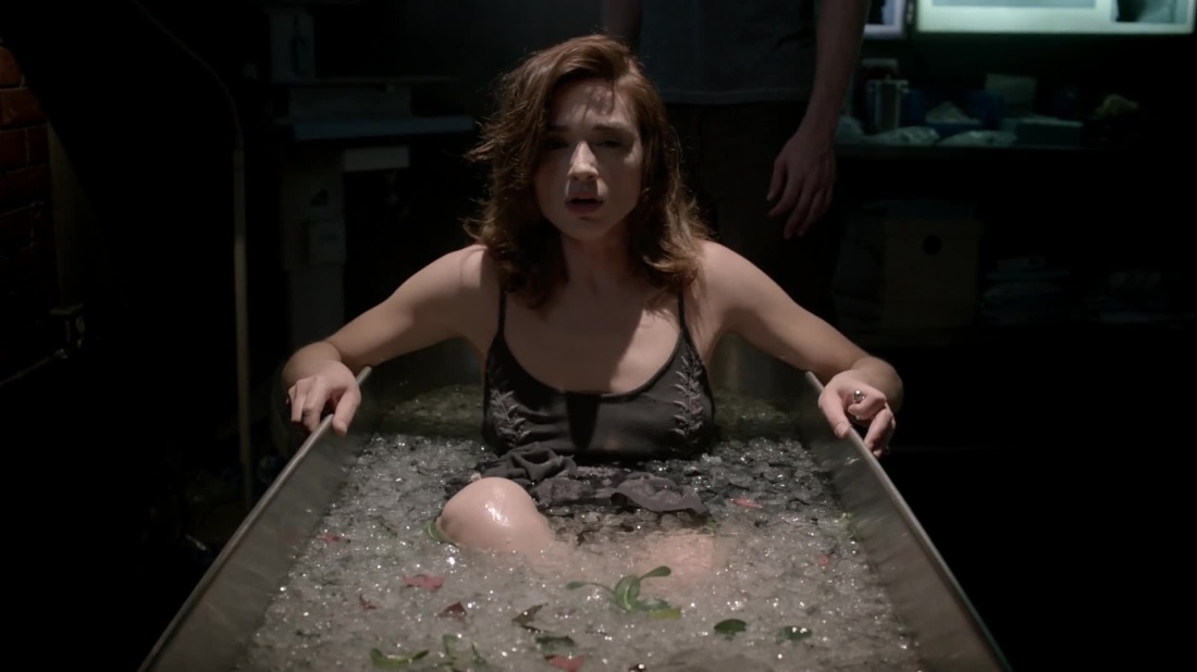 Волчонок Дерек и Кейт