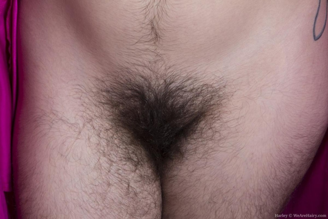 Натуральные волосатые киски