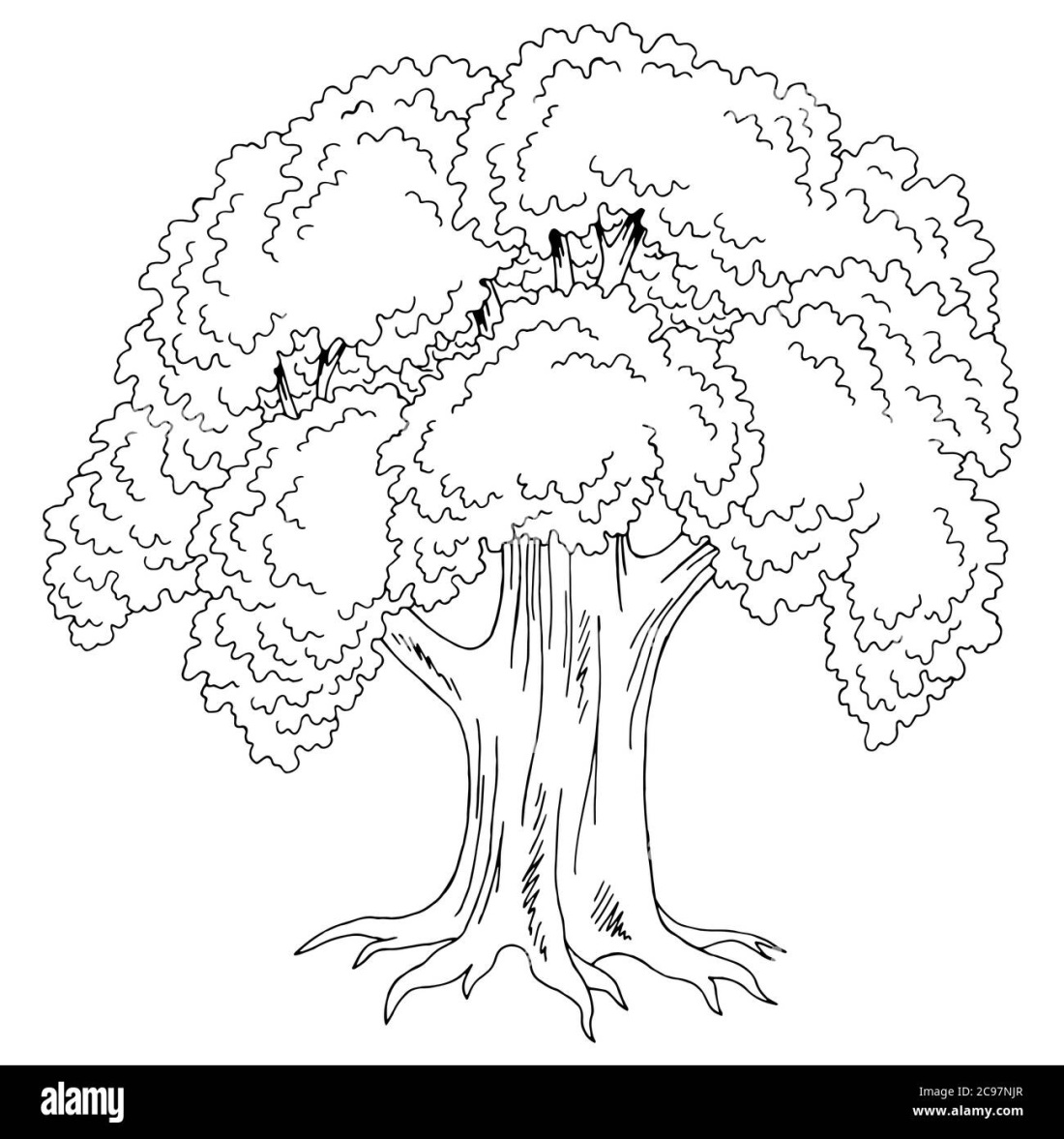 Раскраска дерево дуб с листьями
