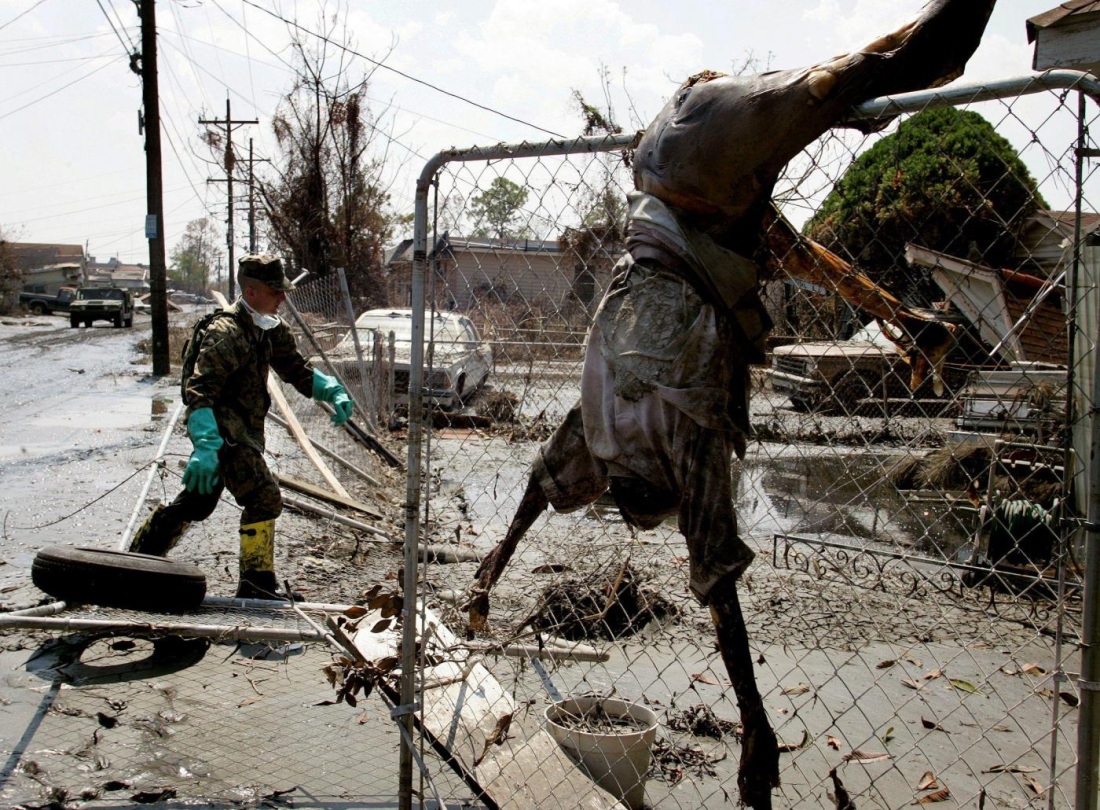 Сгущенка этикетка