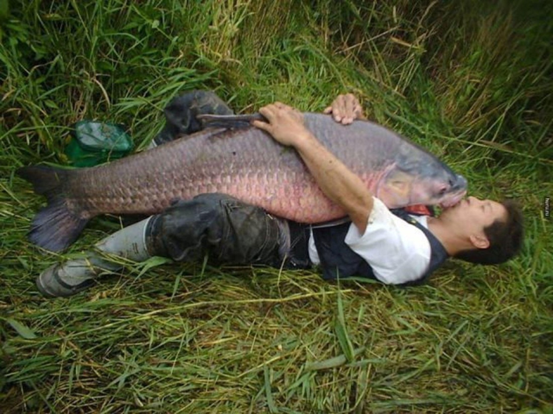 Гуань Юй Геншин