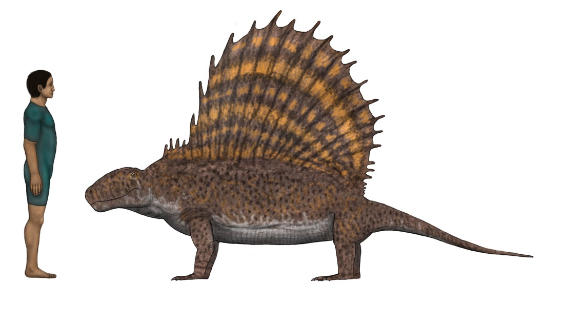 Яна Шарганович