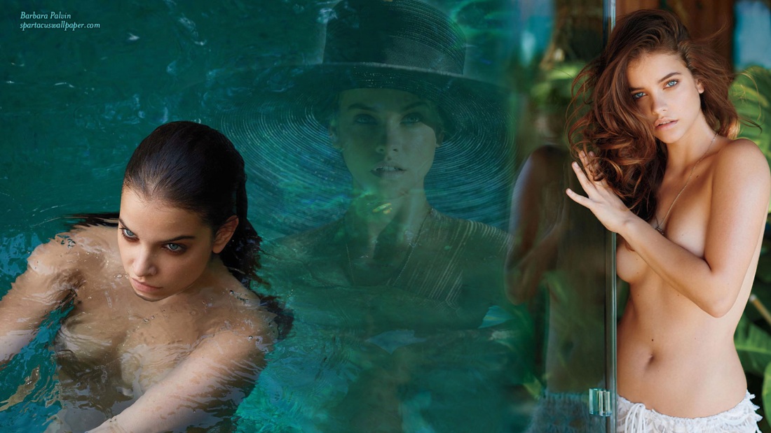 Барбара Пэлвин порнозвезда