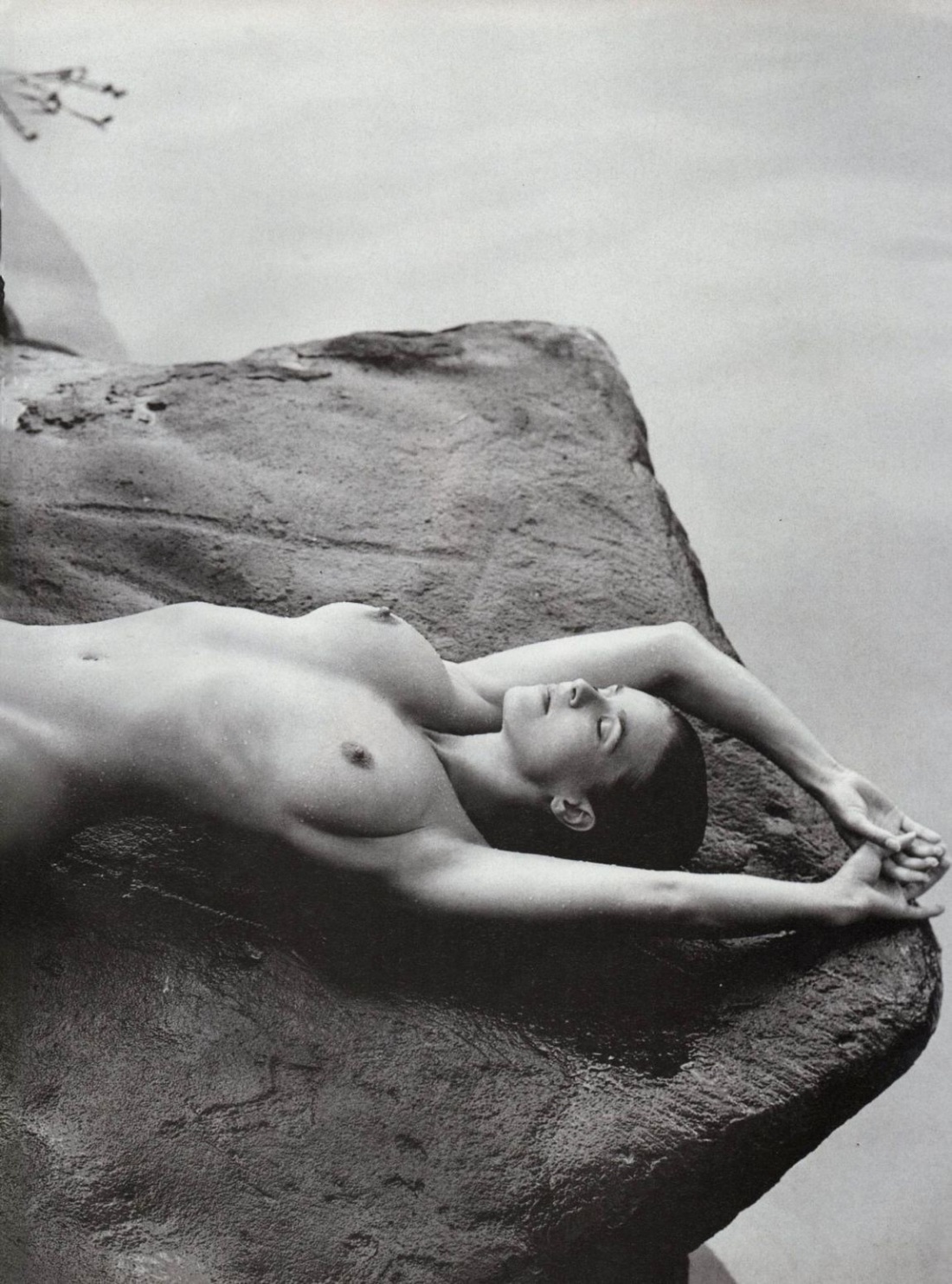 Светлана Антонова грудь