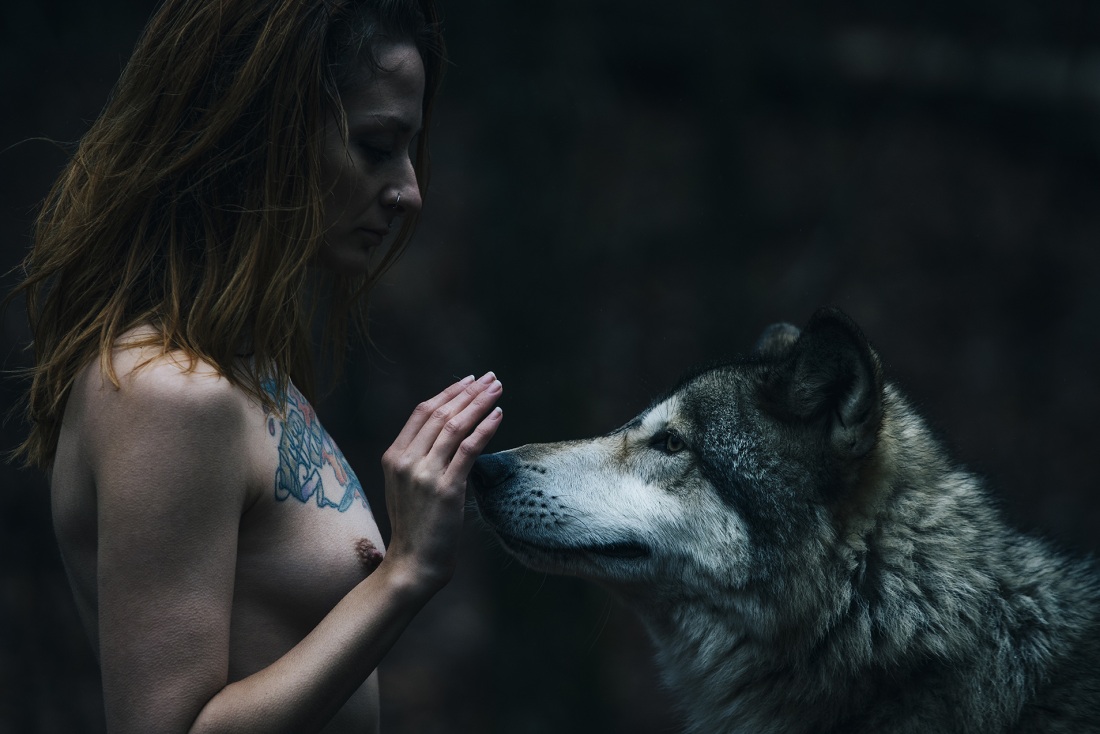 Девушка и волк Эстетика