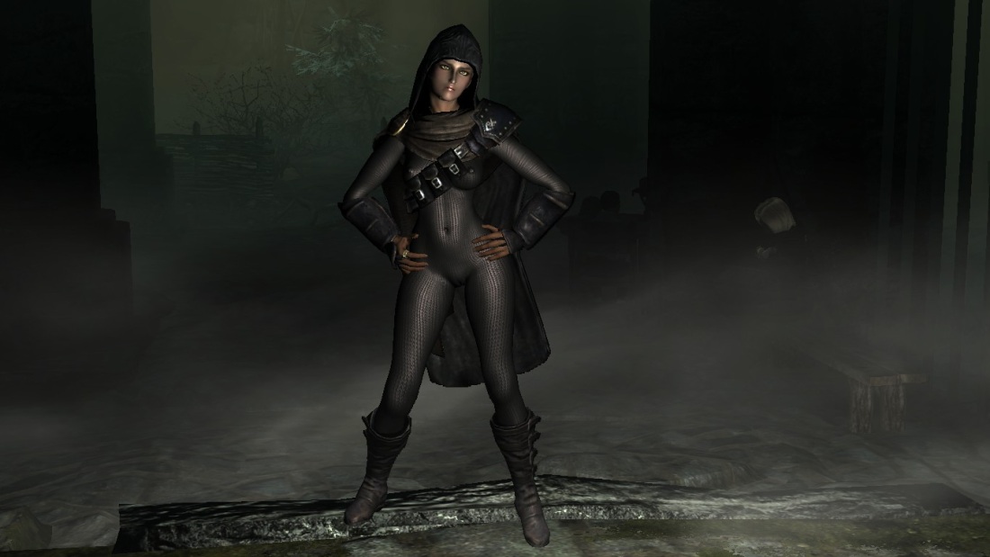 Скайрим мод броня ассасина женская