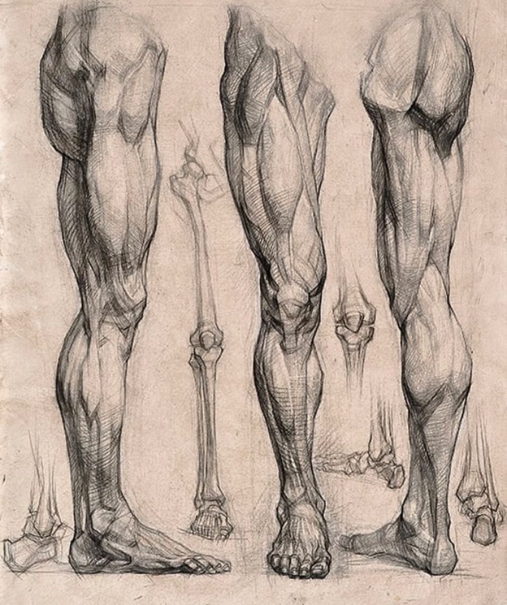 Готфрид Баммес руки