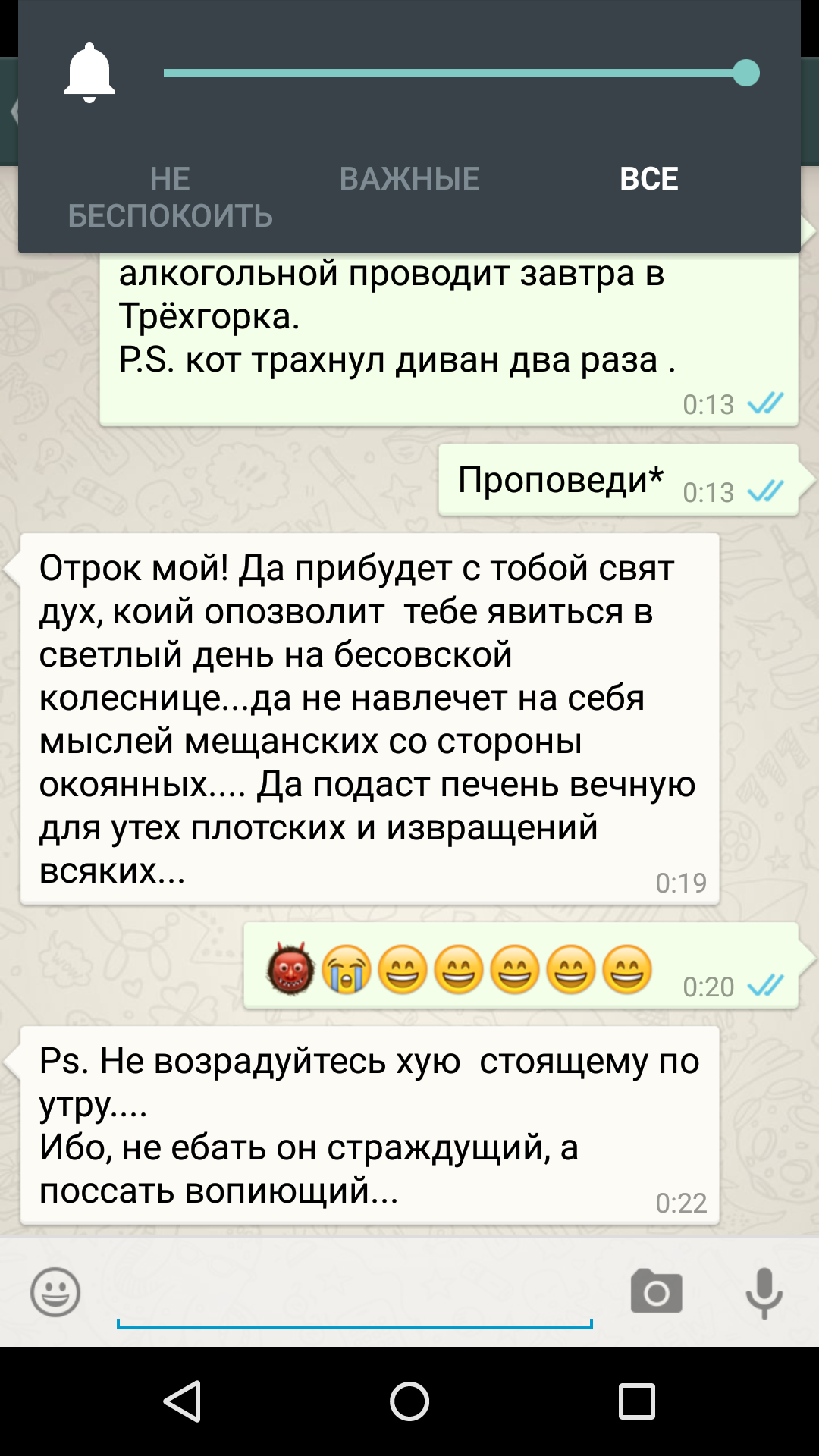 Вирт переписка скрины