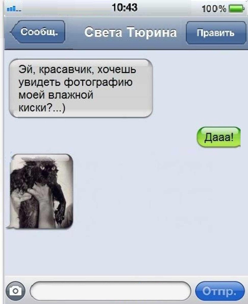 Смешные эротические переписки