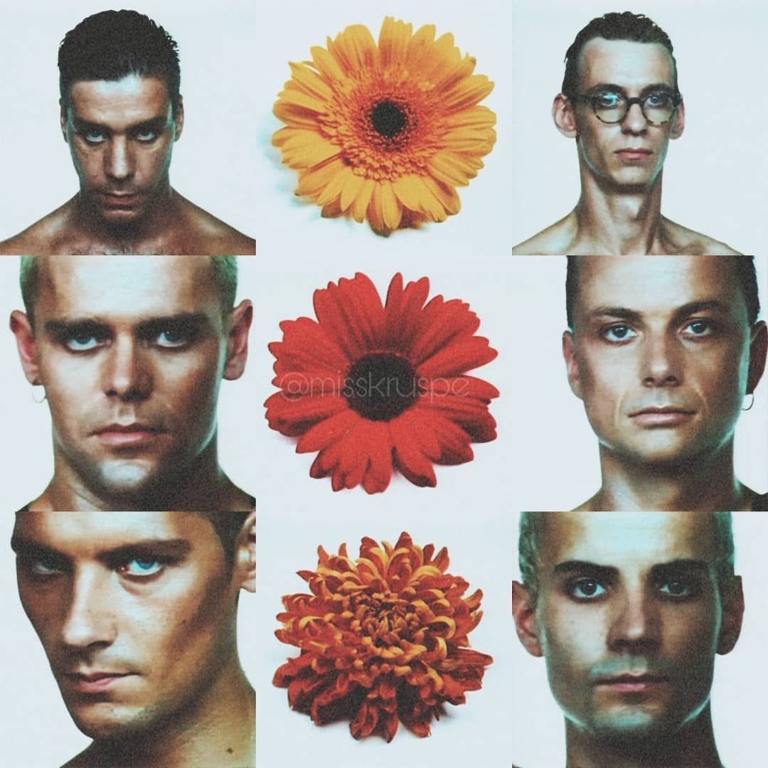 Rammstein pussy режиссёрская версия