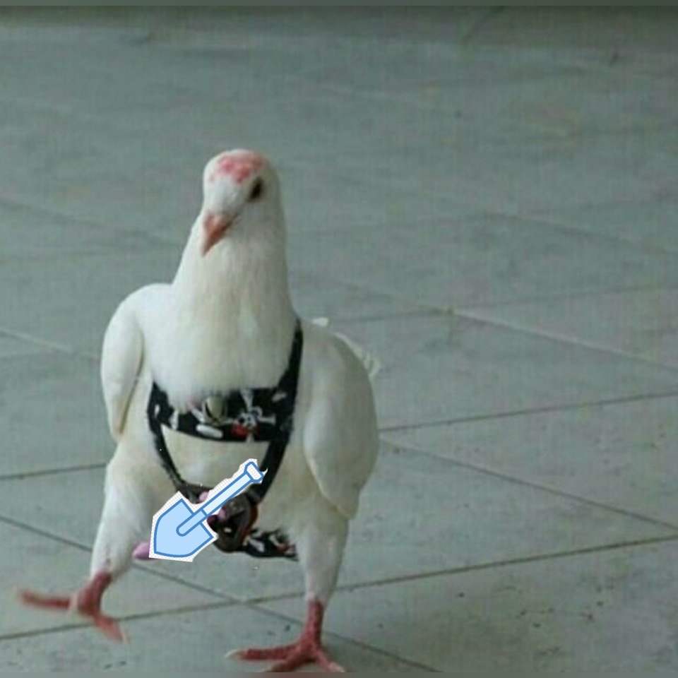 Валера мемы