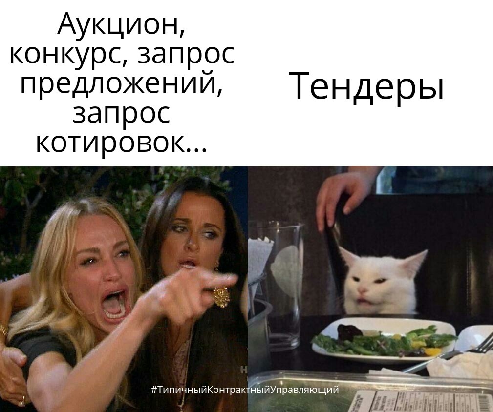 Мем с котом и девушками