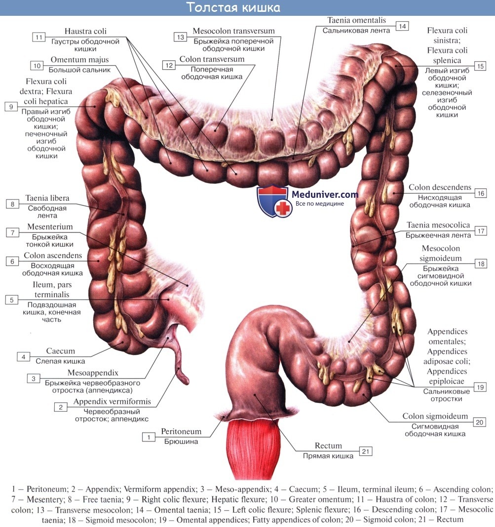Мужские трусы боксеры выкройка 56 размер