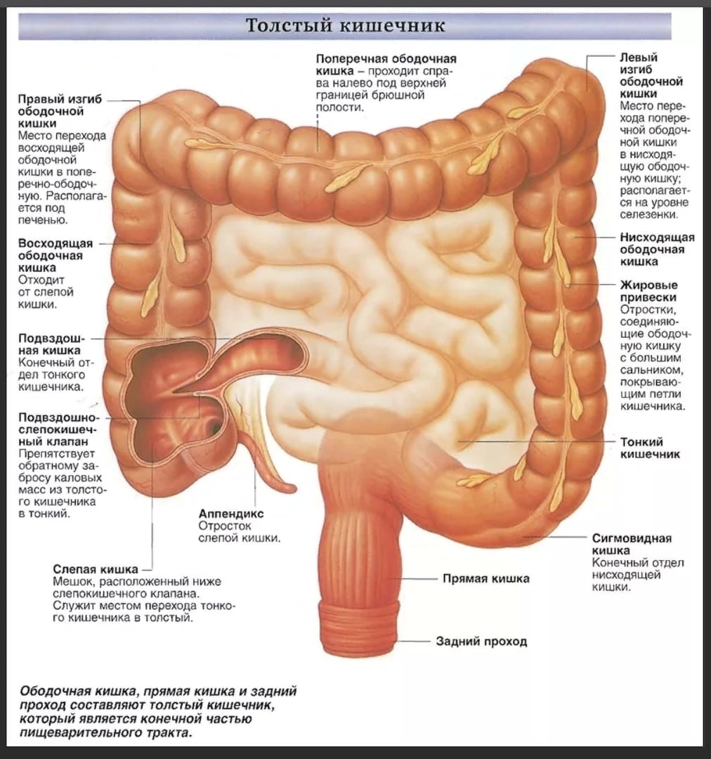 Клинок рассекающий демонов Иноскэ