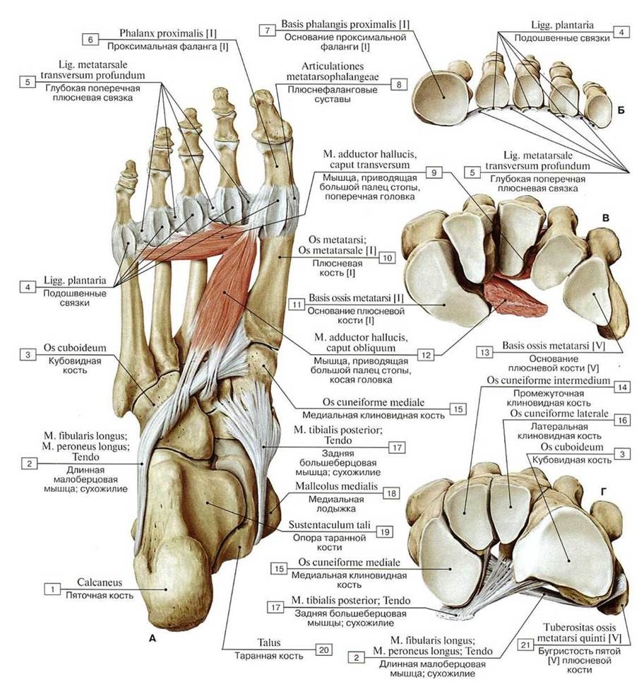 2121 Днище вид снизу