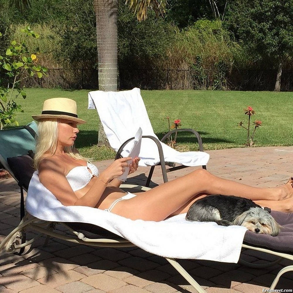 Ревизорро логотип