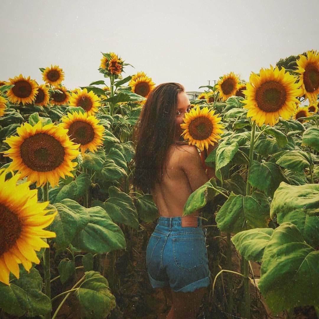 Эротическая фотосессия в подсолнухах