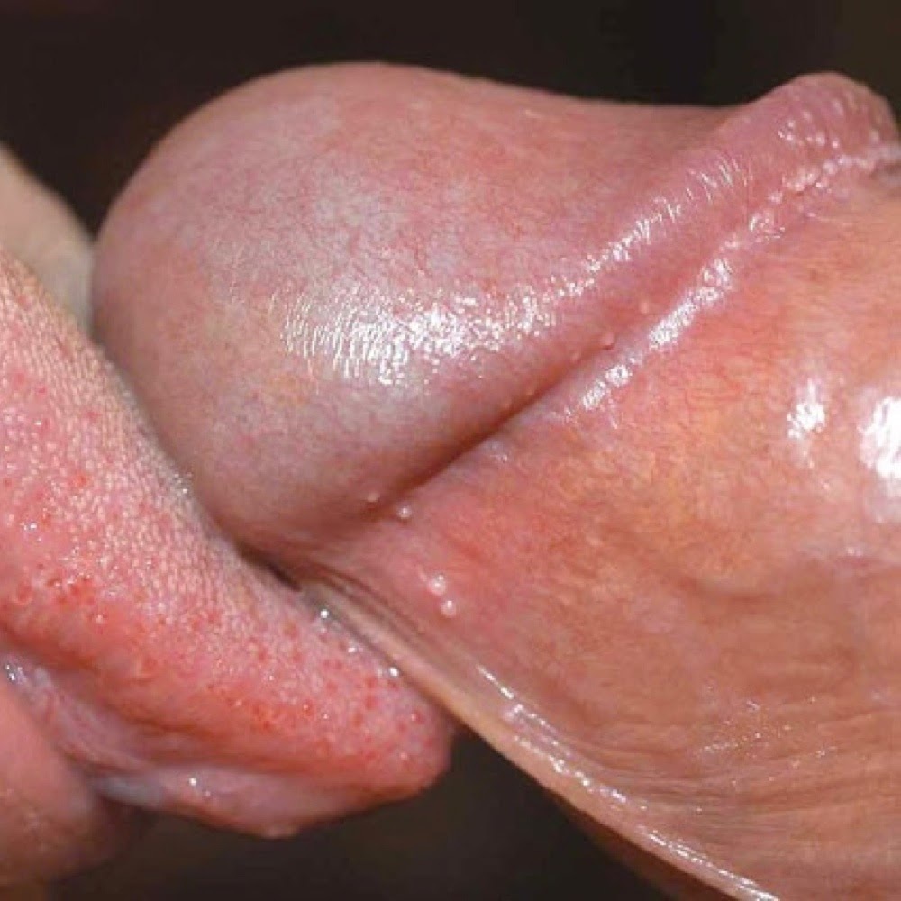 Член и язык крупным планом