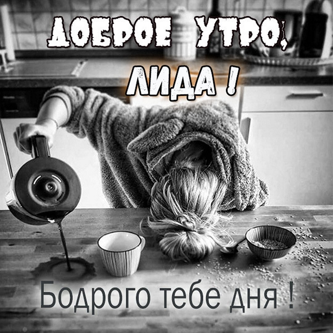 Котик хочет киску