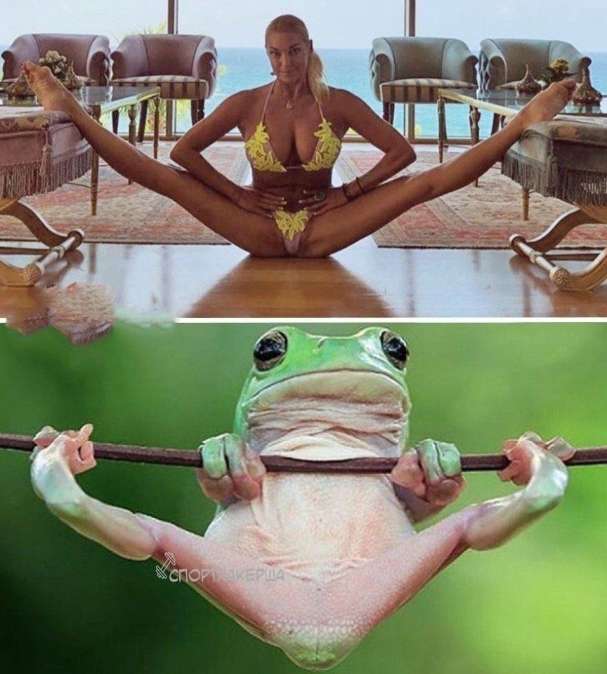 Мемы про Волочкову