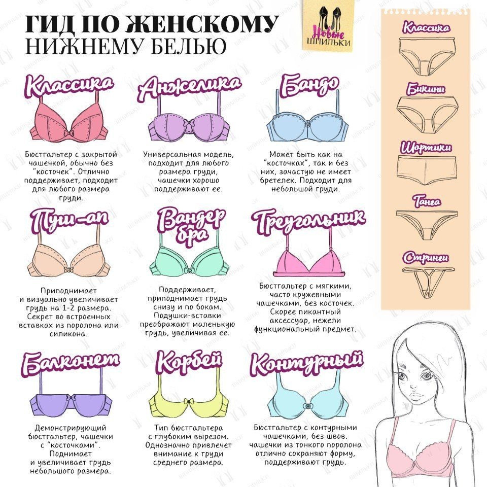 Формы лифчиков с названиями