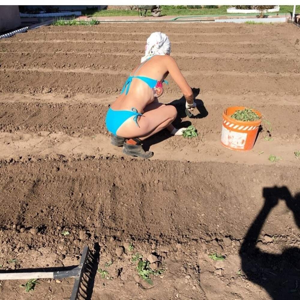 Голые старушки на даче без трусов