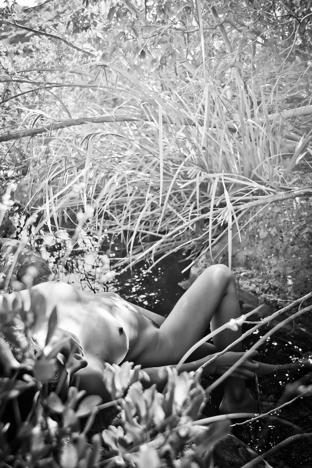 Вирджиния Гордон